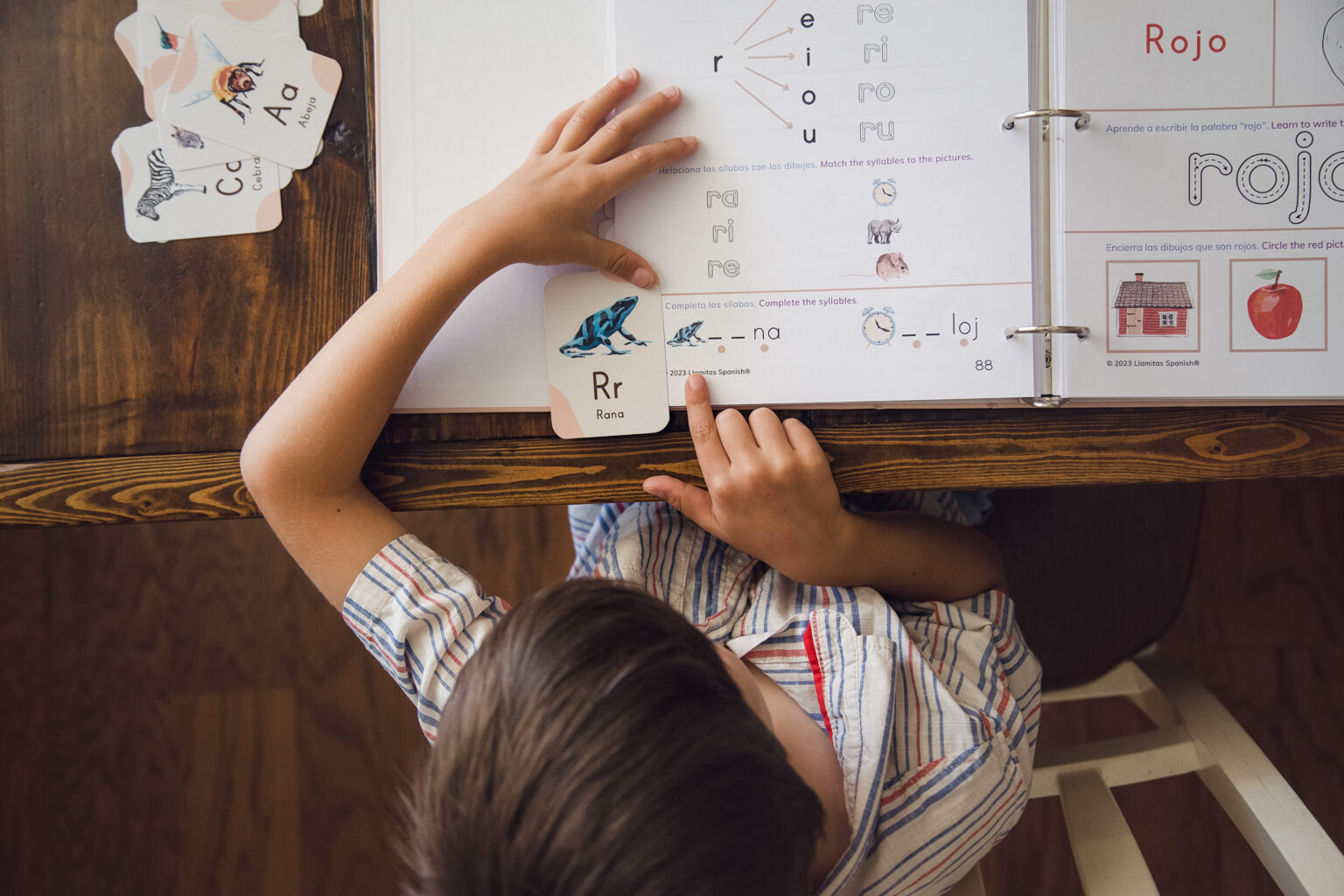 Dr. Seuss Books in Spanish - Llamitas Spanish.com