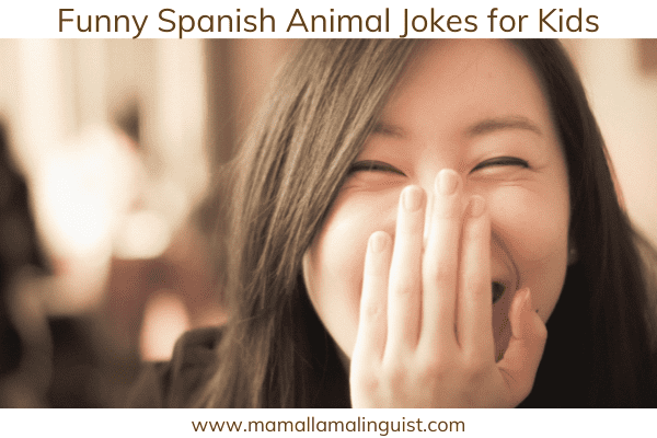 spanish animal jokes kids