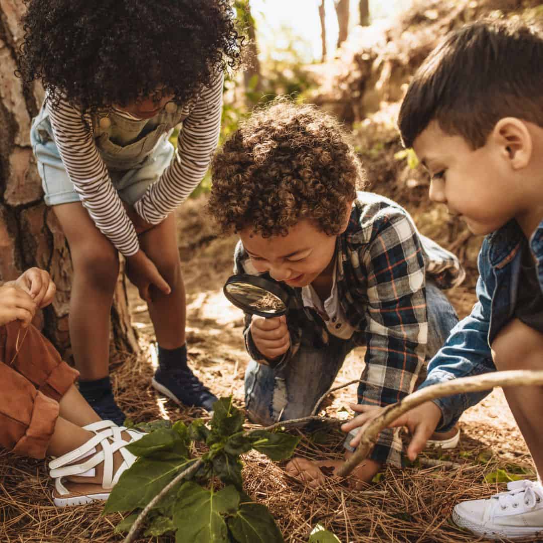 forest spanish lessons