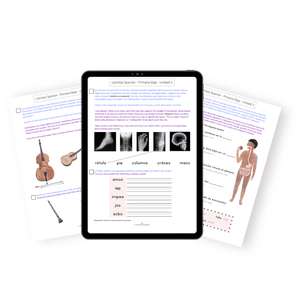 Body parts in Spanish