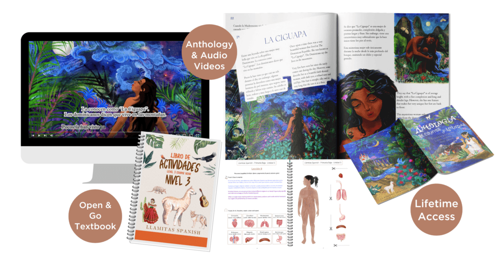 mockup of level 3 curriculum, El cuerpo unit