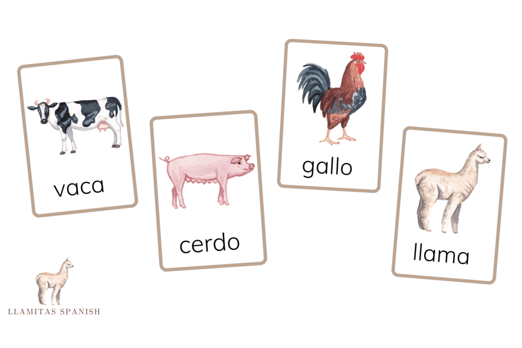 control cards Montessori Spanish