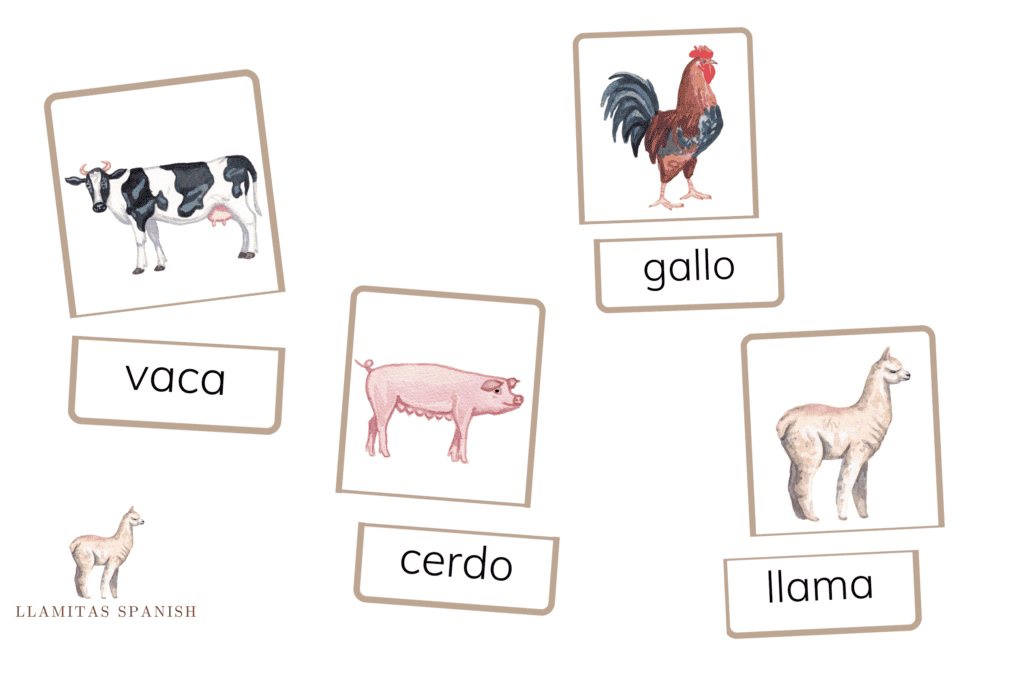 Label and object cards Montessori Spanish