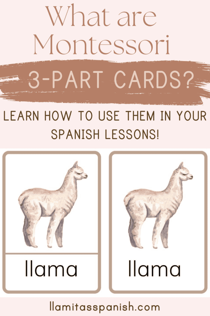 Montessori 3 part cards in Spanish. Illustration of a llama and the word llama on the flashcard