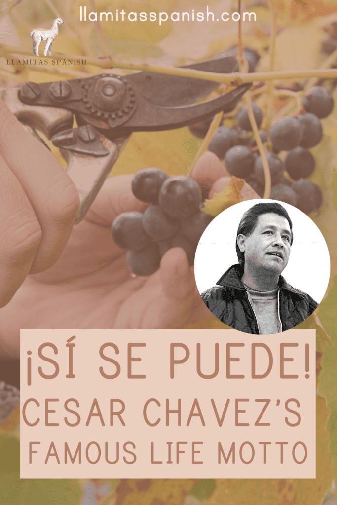 Sí se puede Cesar Chavez quote