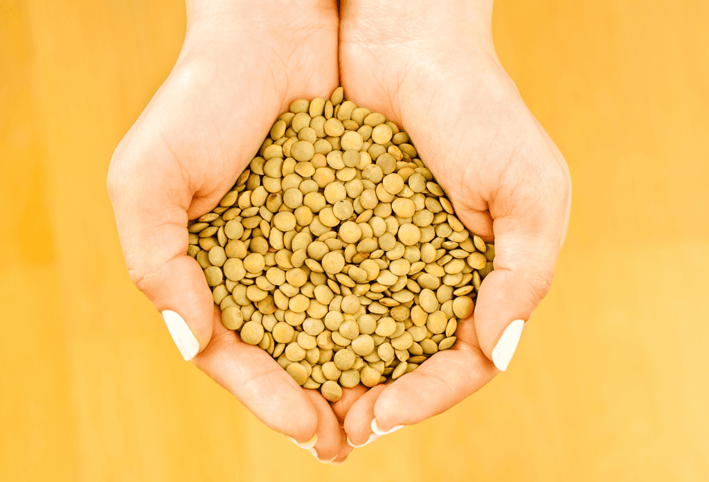 a handful of lentils