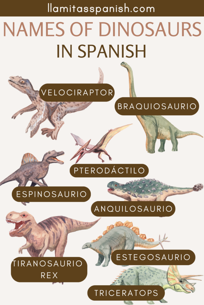 Spanish names of Dinosaurs with pictures