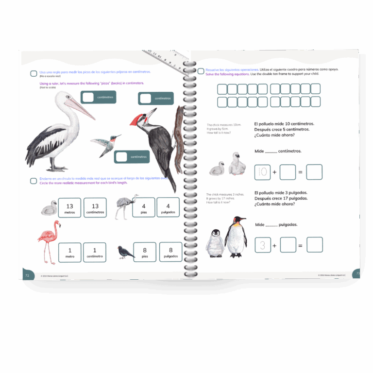 Level 3 math sample pages showing measurements and addition and subtraction problems