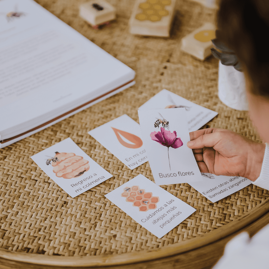 sequencing cards for a bee literacy study