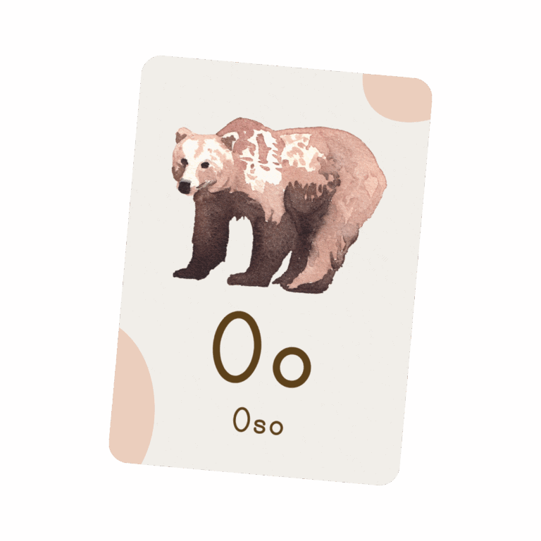oso flashcard